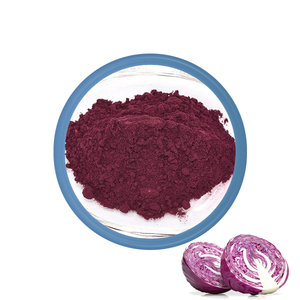 Poudre de chou rouge E163 (couleurs alimentaires Yanggebiotech)