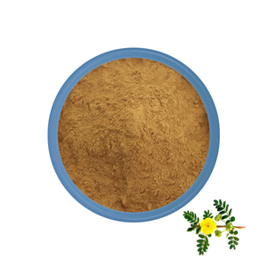 Tribulus terrestris extrait 40% de saponines
