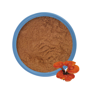 Extrait de Ganoderma en vrac