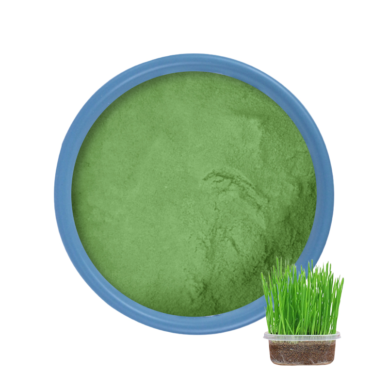 Bull en poudre de jus d'herbe d'orge biologique