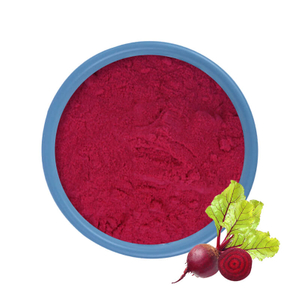 Poudre de Betterave Bio Vrac