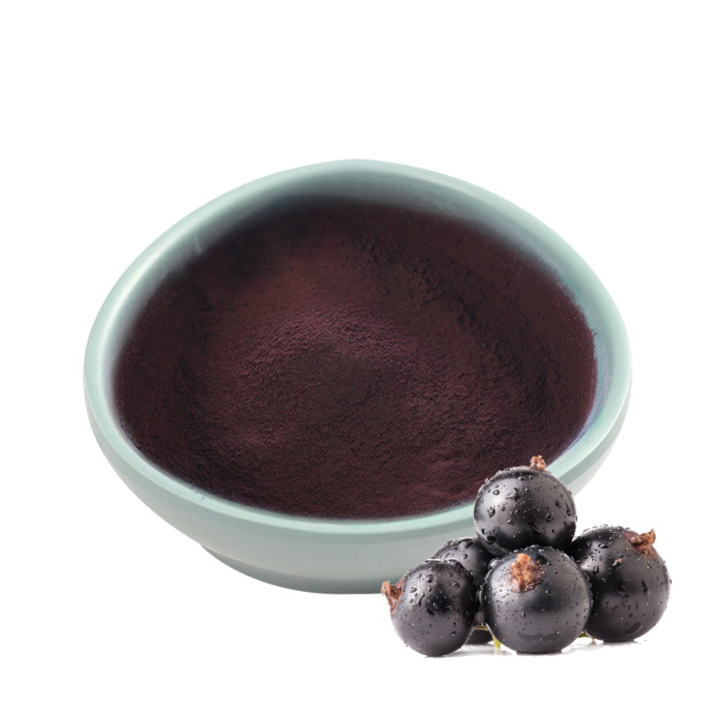 Poudre d'extrait de cassis