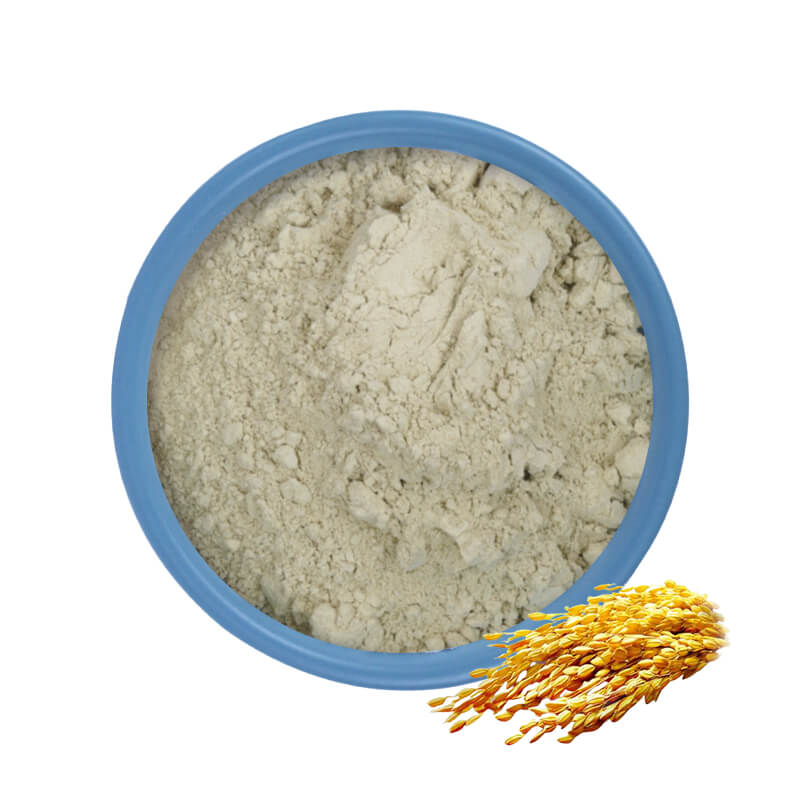 Poudre de protéine de riz