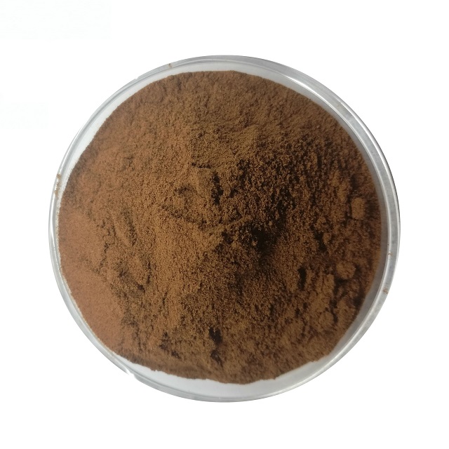 Extrait de Champignon Chaga