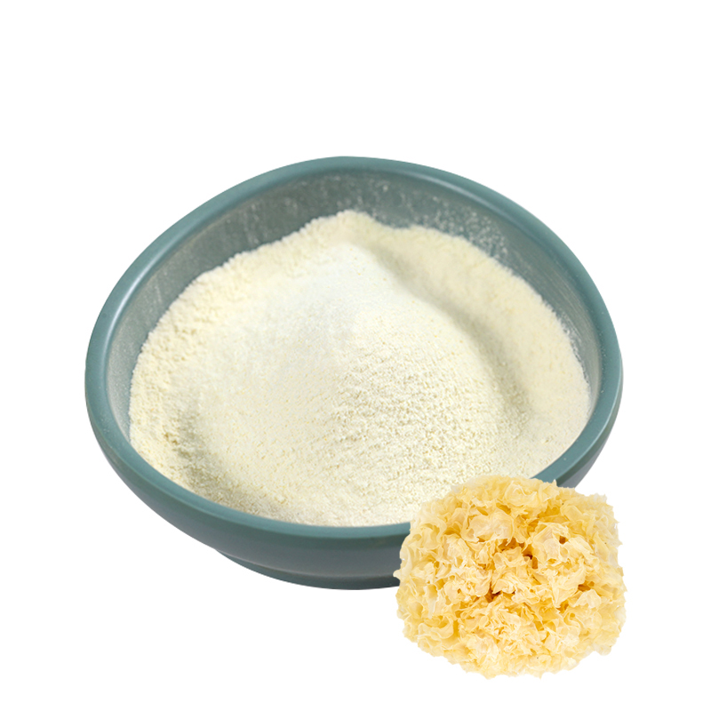 Poudre d'extrait de Tremella