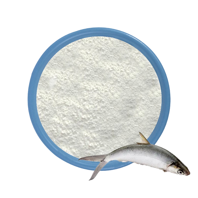 Peptide de collagène de poissons marins