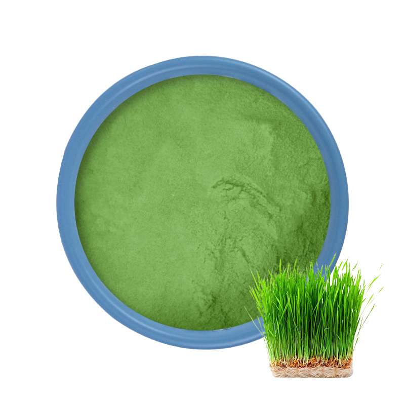 Prix ​​​​de la poudre d'herbe de blé biologique